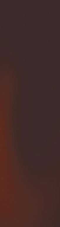 Paradyz Cloud Brown Elewacja falburkolat 6,58 x 24,5