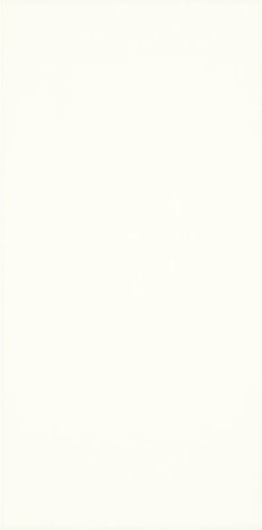 Paradyz Moonlight Bianco falicsempe 29,5 x 59,5