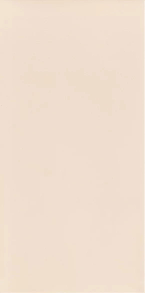 Paradyz Neve Creative Beige Pol falicsempe 9,8x19,8 cm