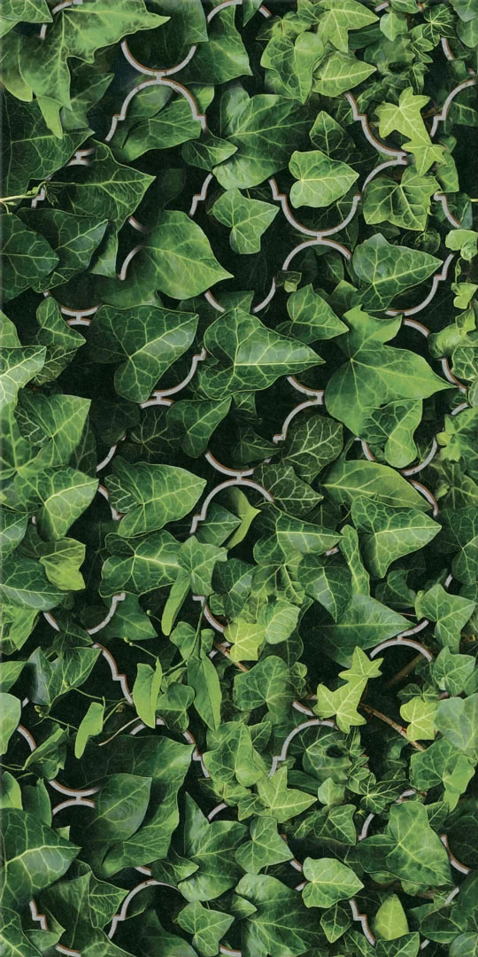 Paradyz Dream Uniwersalne Szklane Dream dekorkép 30x60 cm