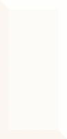 Paradyz Tamoe Bianco Kafel falicsempe 9,8 x 19,8